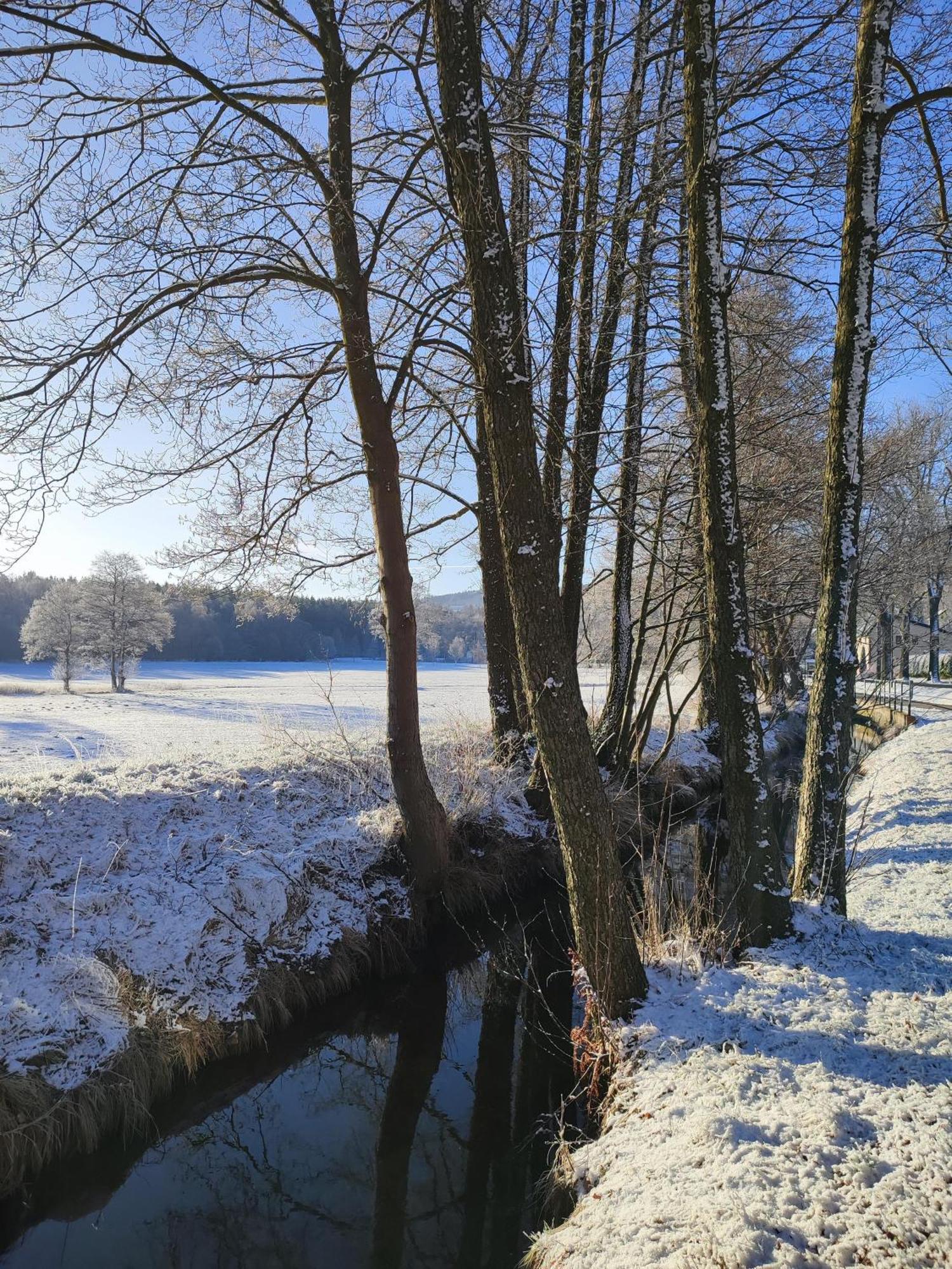 Ferienhaus "De Sieme" Olbernhau Zewnętrze zdjęcie