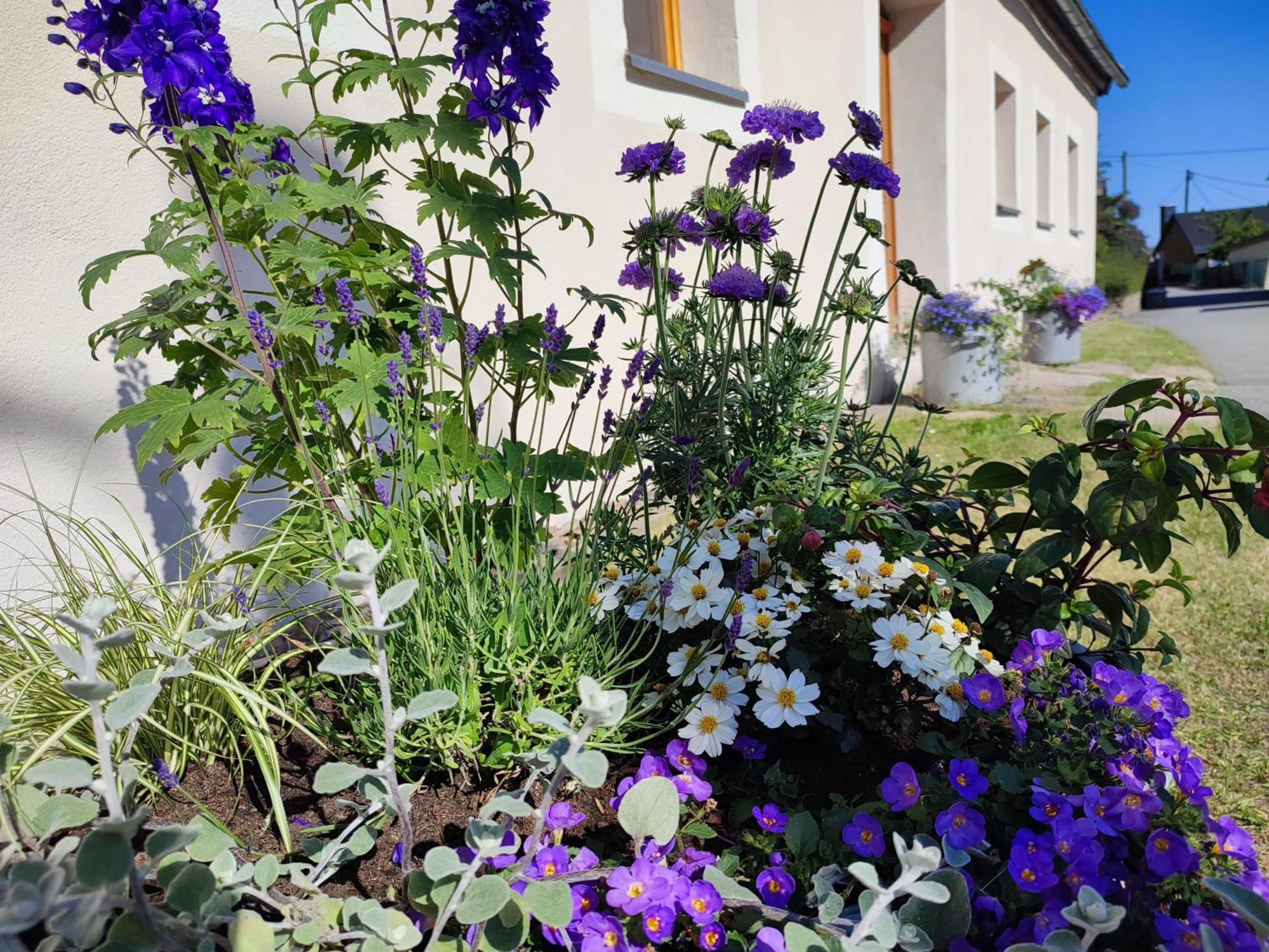 Ferienhaus "De Sieme" Olbernhau Zewnętrze zdjęcie